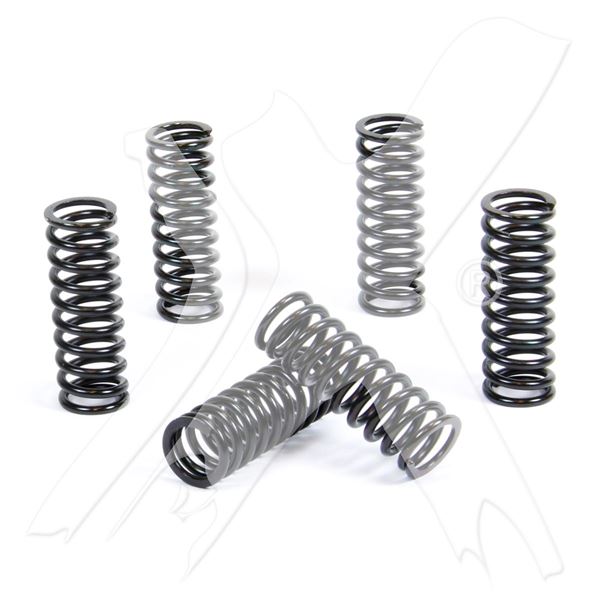 Afbeelding van Prox Clutch Spring Kit RM-Z250 '07-09