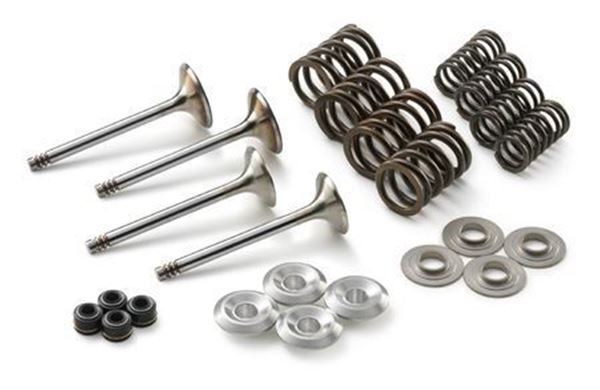 Afbeelding van VALVE KIT 1190 ADV   13-14