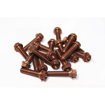 Afbeeldingen van 1775620GMTMV Flangeheadbolt M6X20 Gun Metal (20pcs)