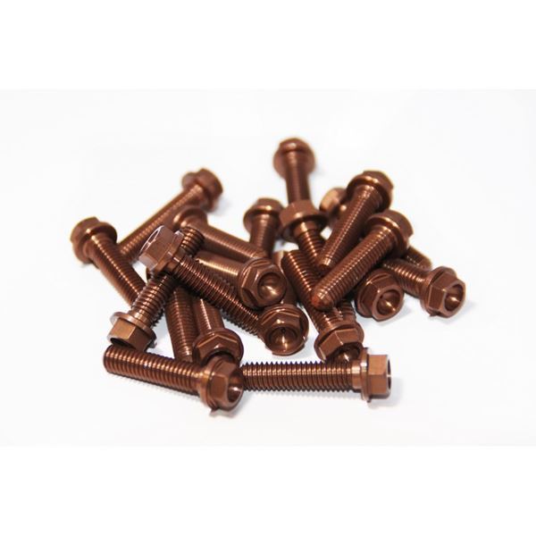 Afbeelding van 1775625GMTMV Flangeheadbolt M6X25 Gun Metal (20pcs)