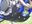 Afbeeldingen van BODEMB. ENDURO SHERCO 4T
SE-F250/300 14
SE2.5IF 12/ZWART