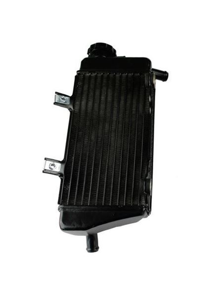 Afbeelding van RADIATOR CRF450 RIGHT//19010569  Rechts crf450 05/08