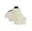 Afbeeldingen van FUEL TANK HONDA CRF 450 17-20 + CRF 250 18-20 - 10.5L - CLEAR