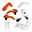 Afbeeldingen van Full plastic kit - KTM SX/SX-F 2015 - STANDARD 16